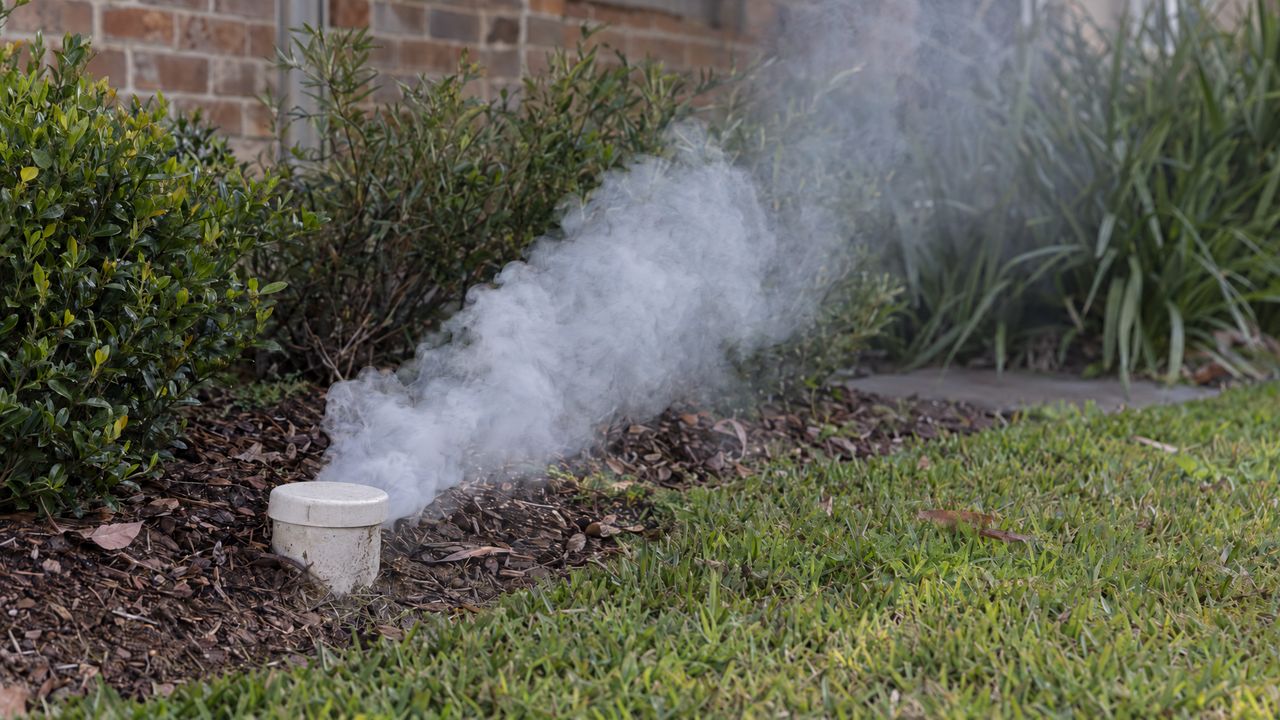 White smoke rising from a garden bed beside a capped inspection opening at the edge of a lawn