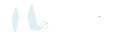 professional Plumber