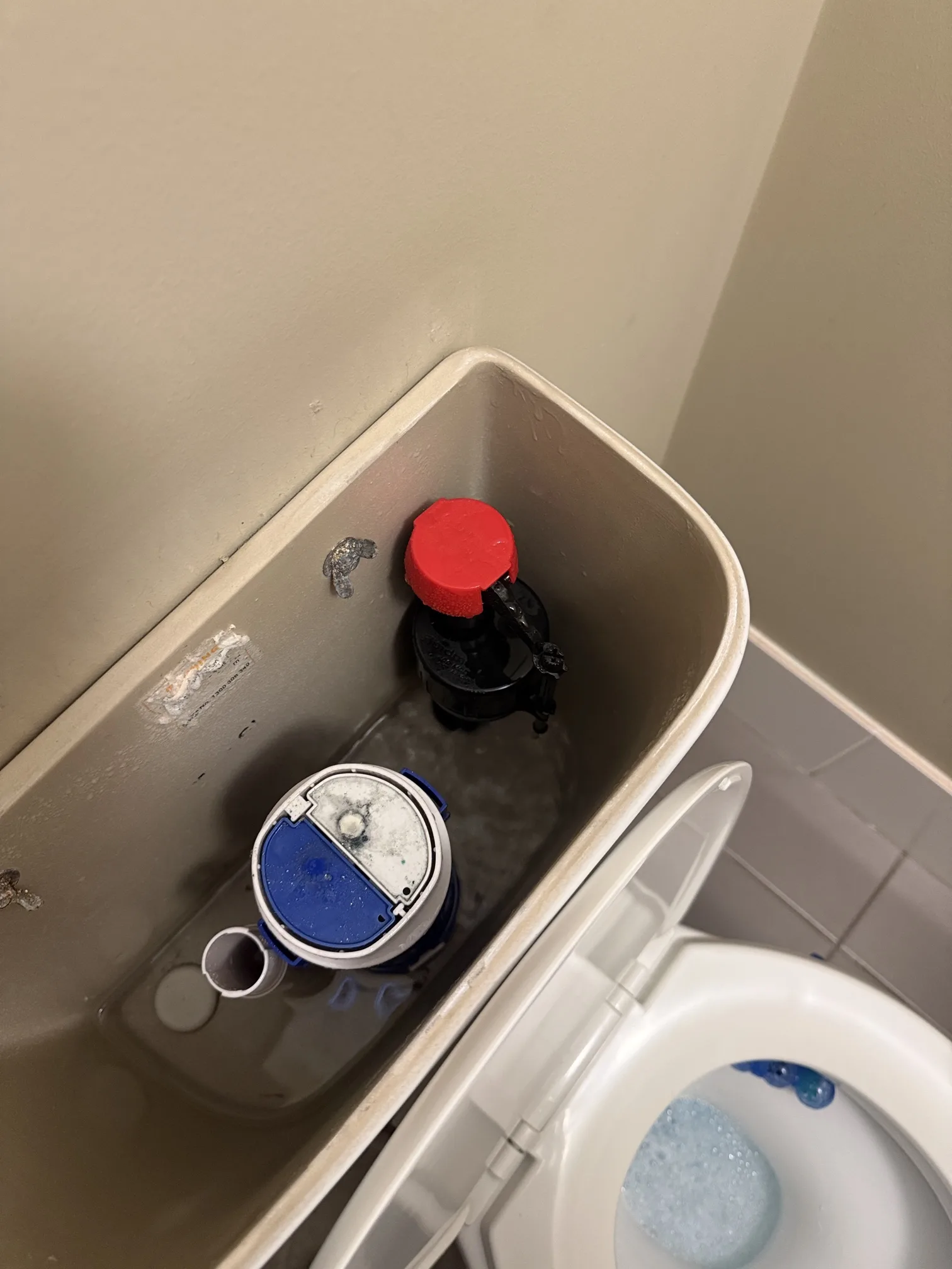Tap or toilet repaired in Elderslie 2570, August 2025