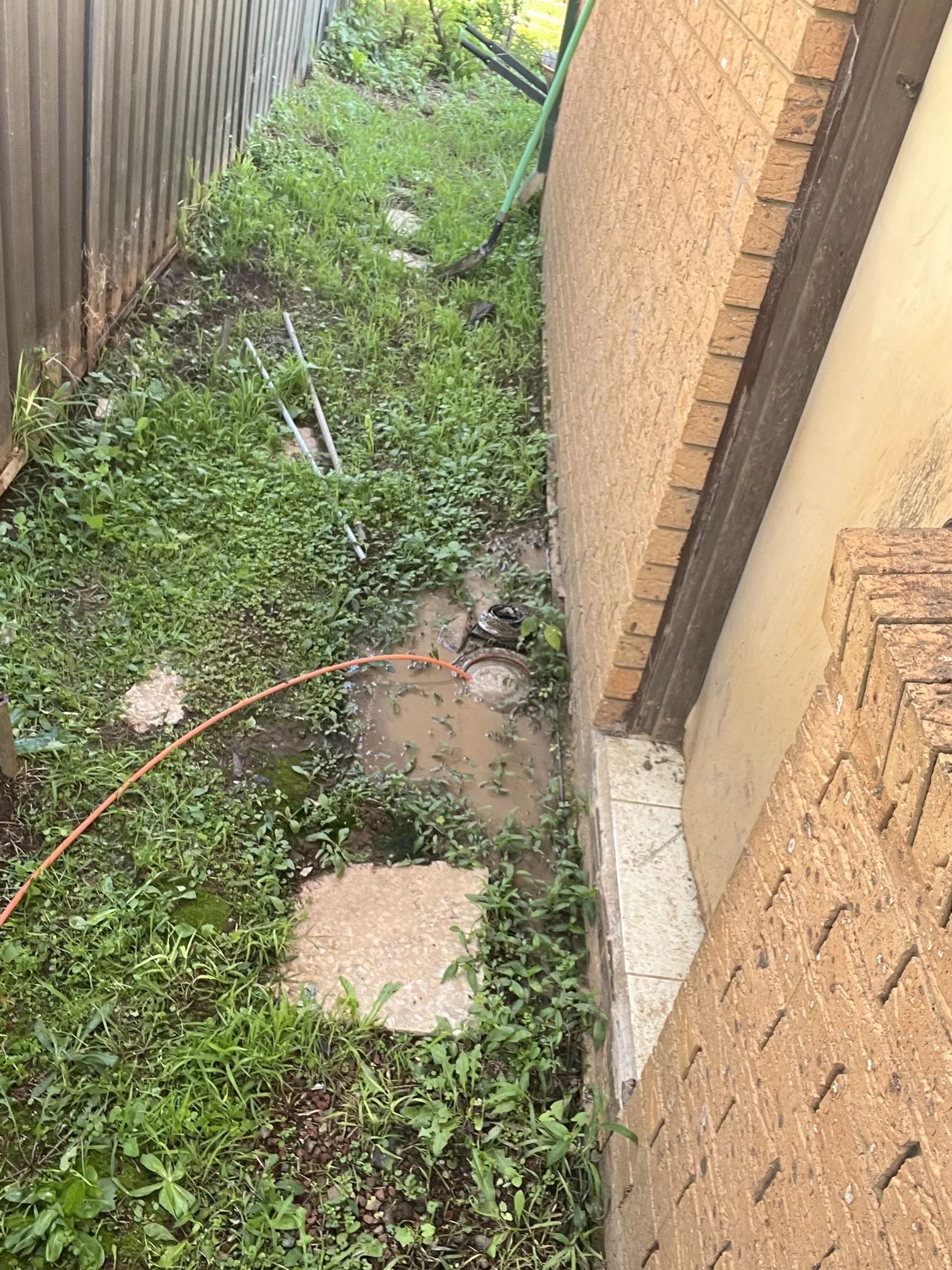Blocked drain cleared in Rosemeadow 2560, March 2026