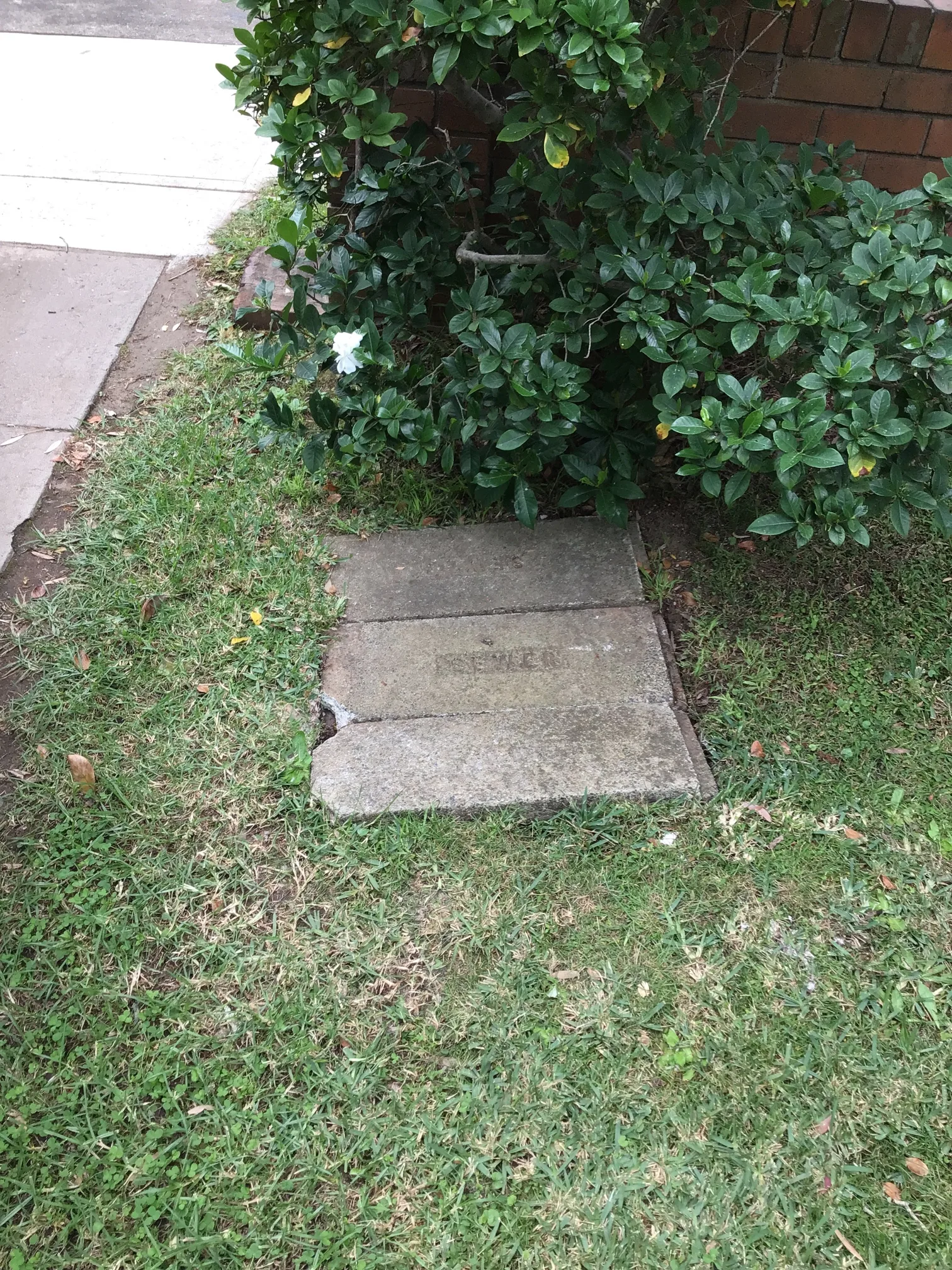 Blocked drain cleared in Ermington 2115, April 2026
