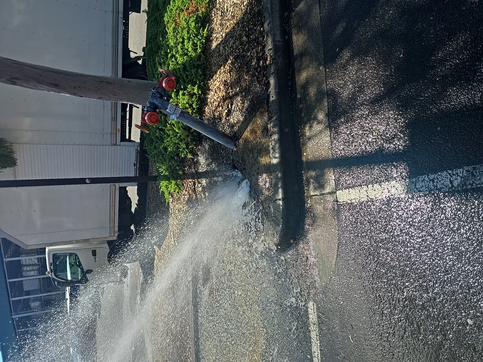 Burst pipe or leak repaired in Villawood 2163, April 2026