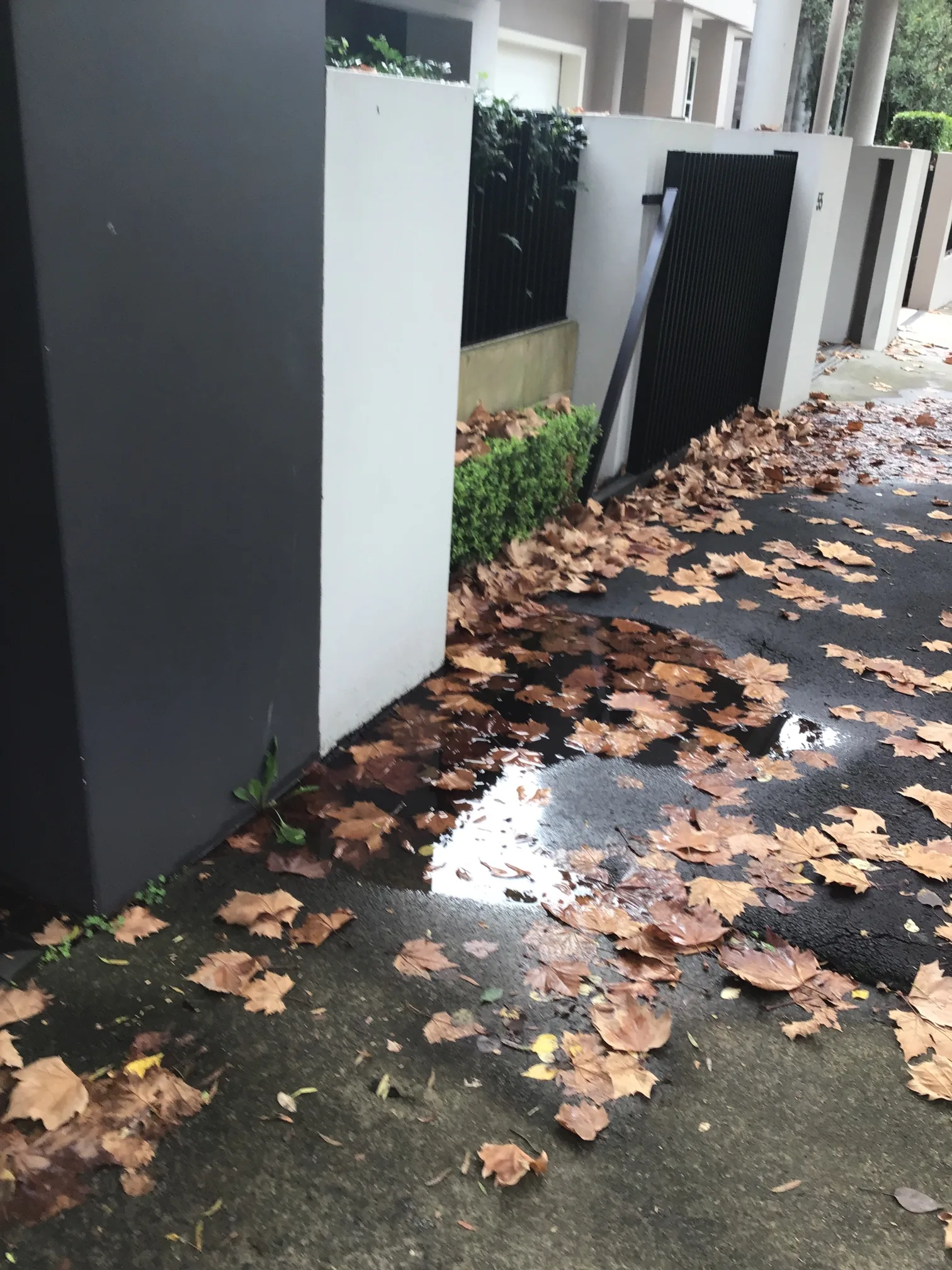 Burst pipe or leak repaired in Double Bay 2028, May 2026