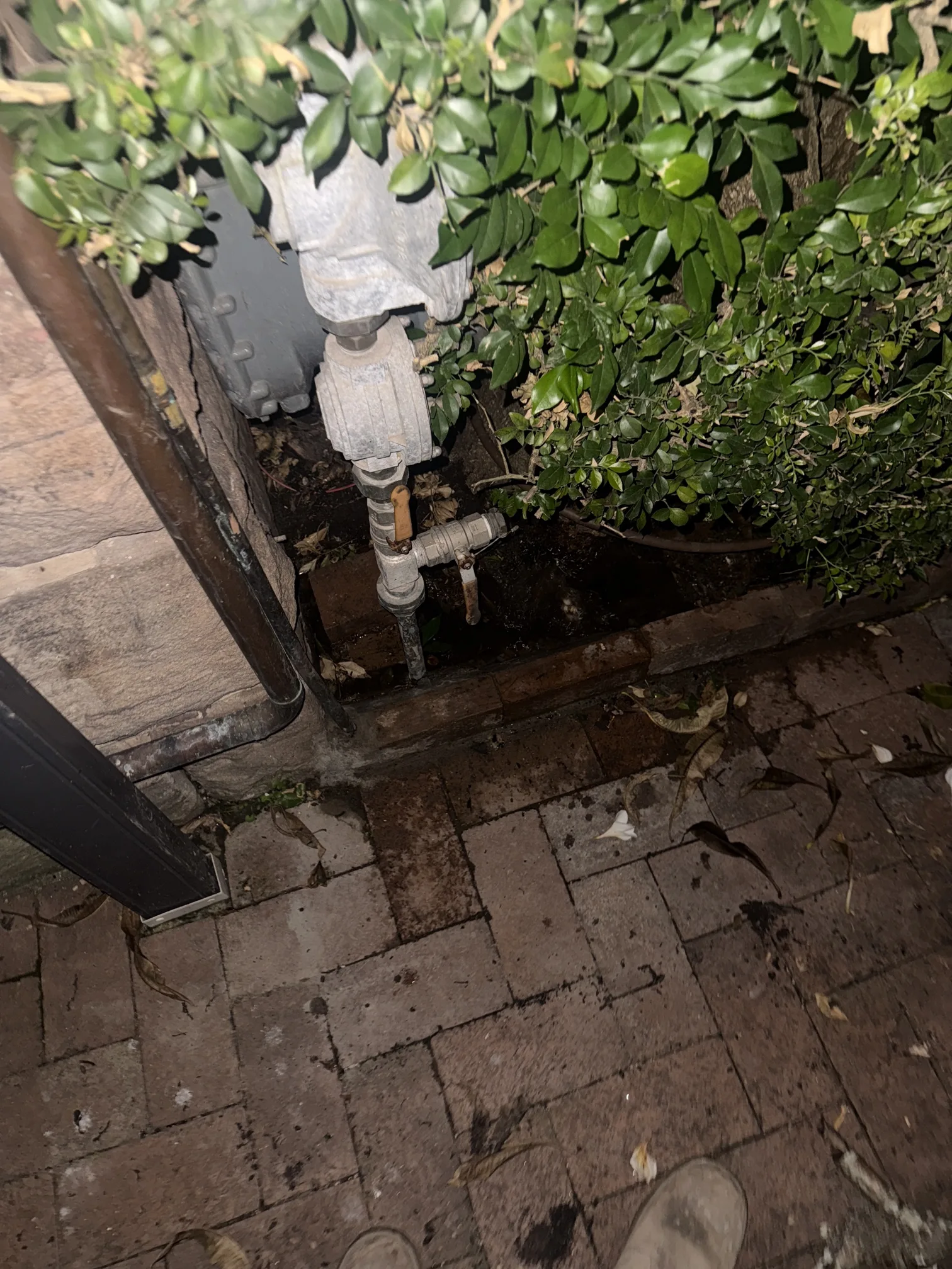 Burst pipe or leak repaired in Haberfield 2045, May 2026