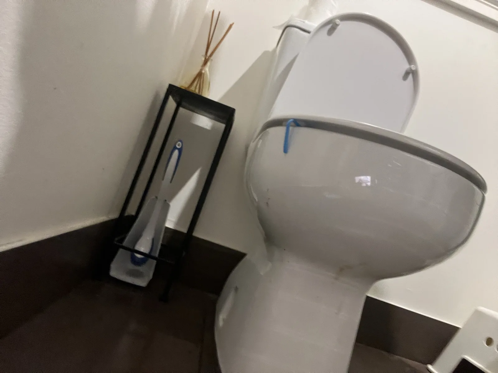 Burst pipe or leak repaired in Beverly Hills 2209, May 2026