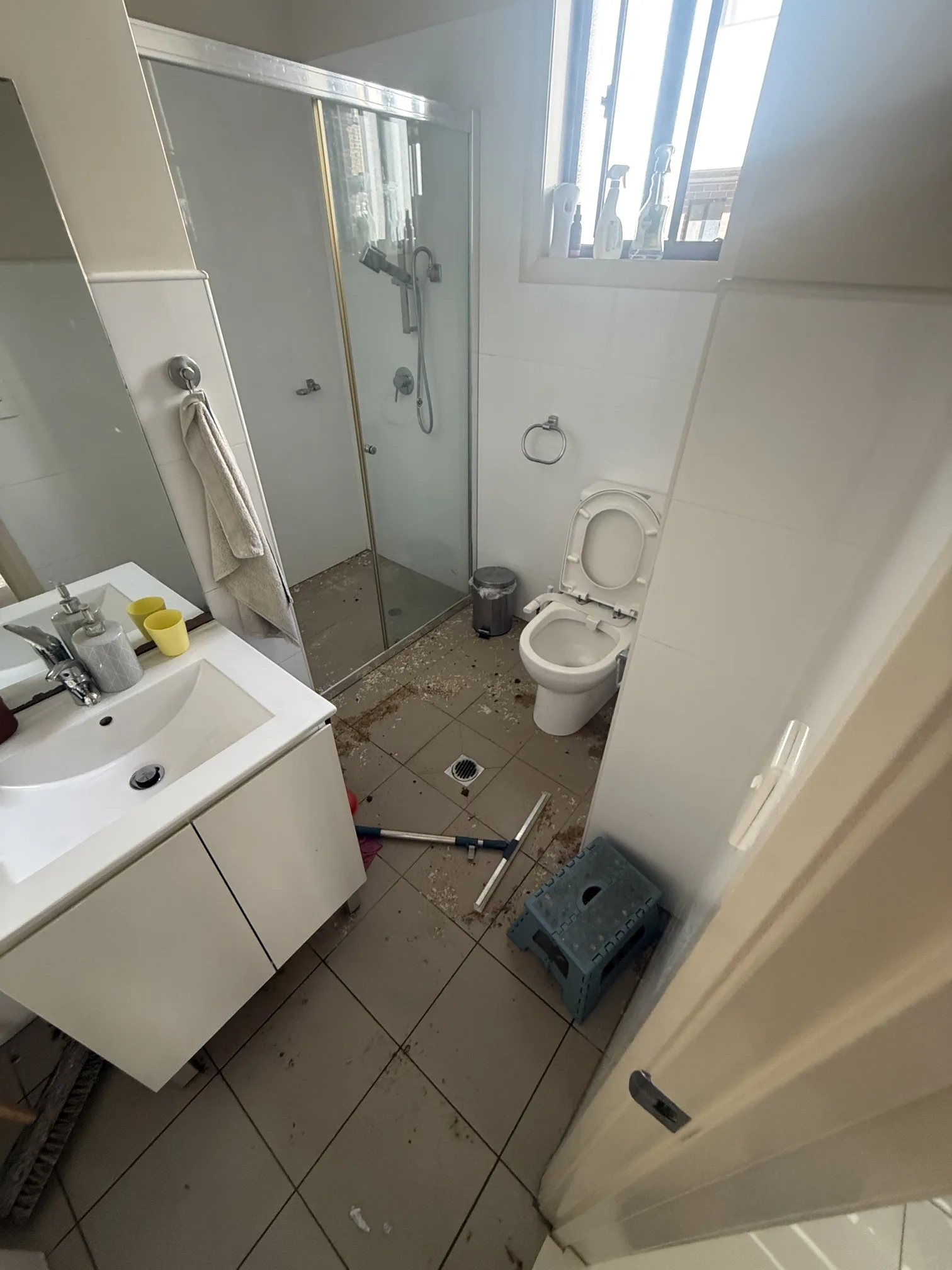 Blocked drain cleared in Rooty Hill 2766, May 2026