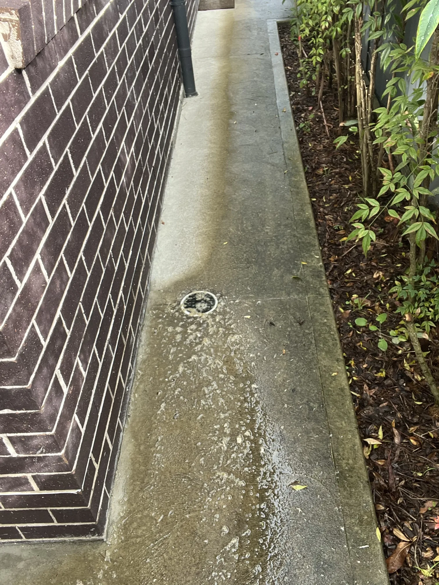 Blocked drain cleared in Hunters Hill 2110, June 2026