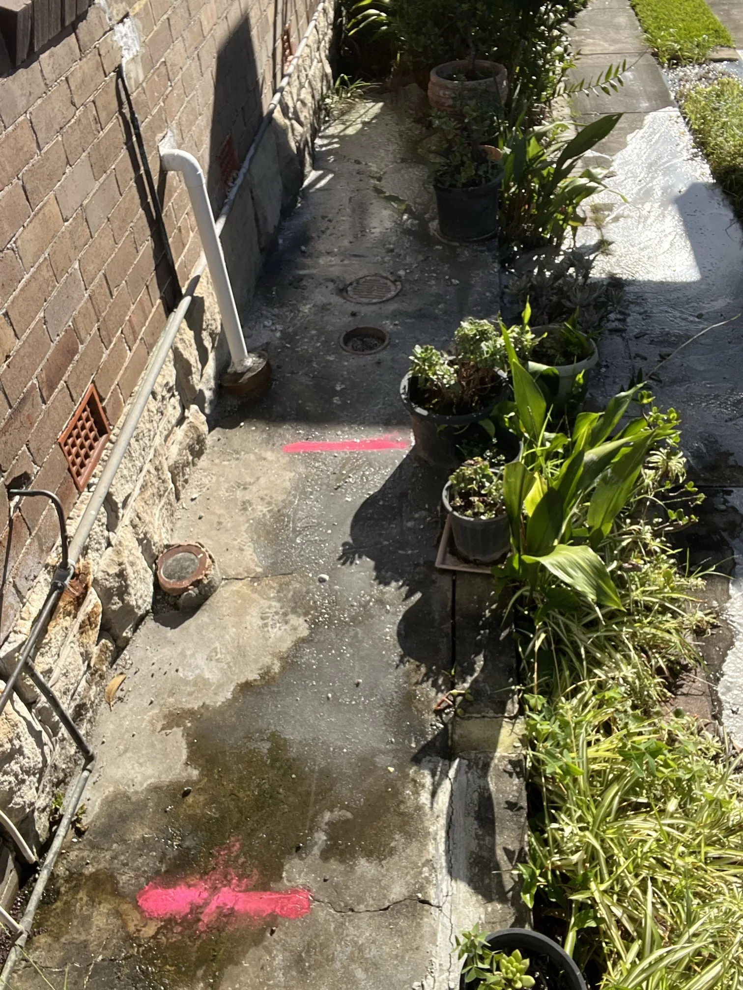 Blocked drain cleared in Rockdale 2216, June 2026