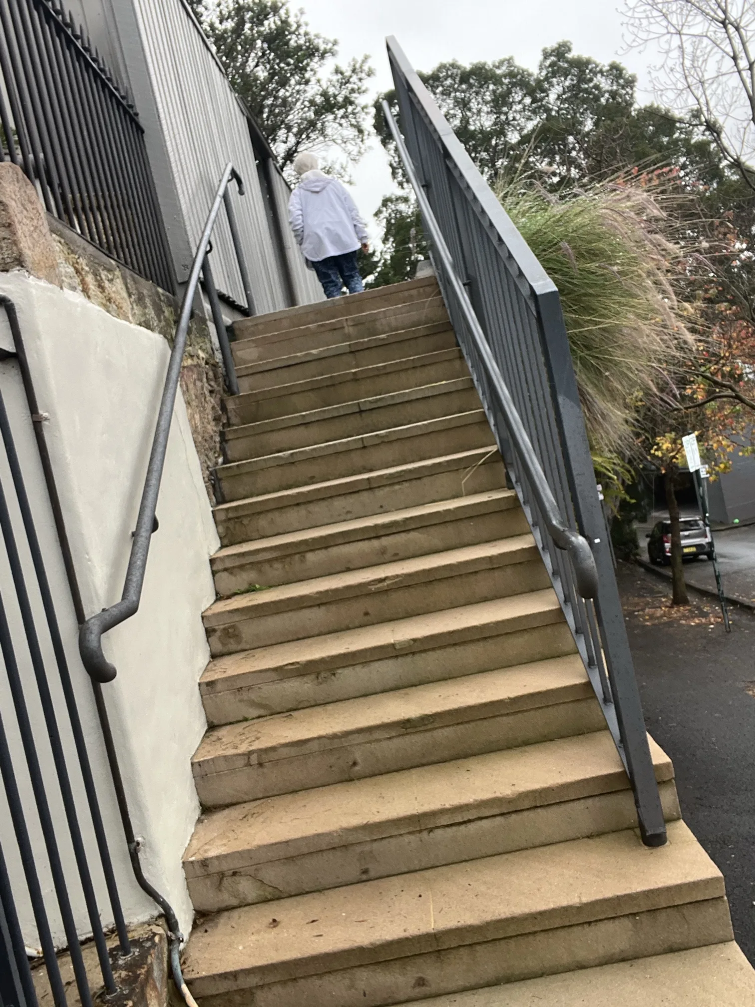 Blocked drain cleared in Glebe 2037, June 2026