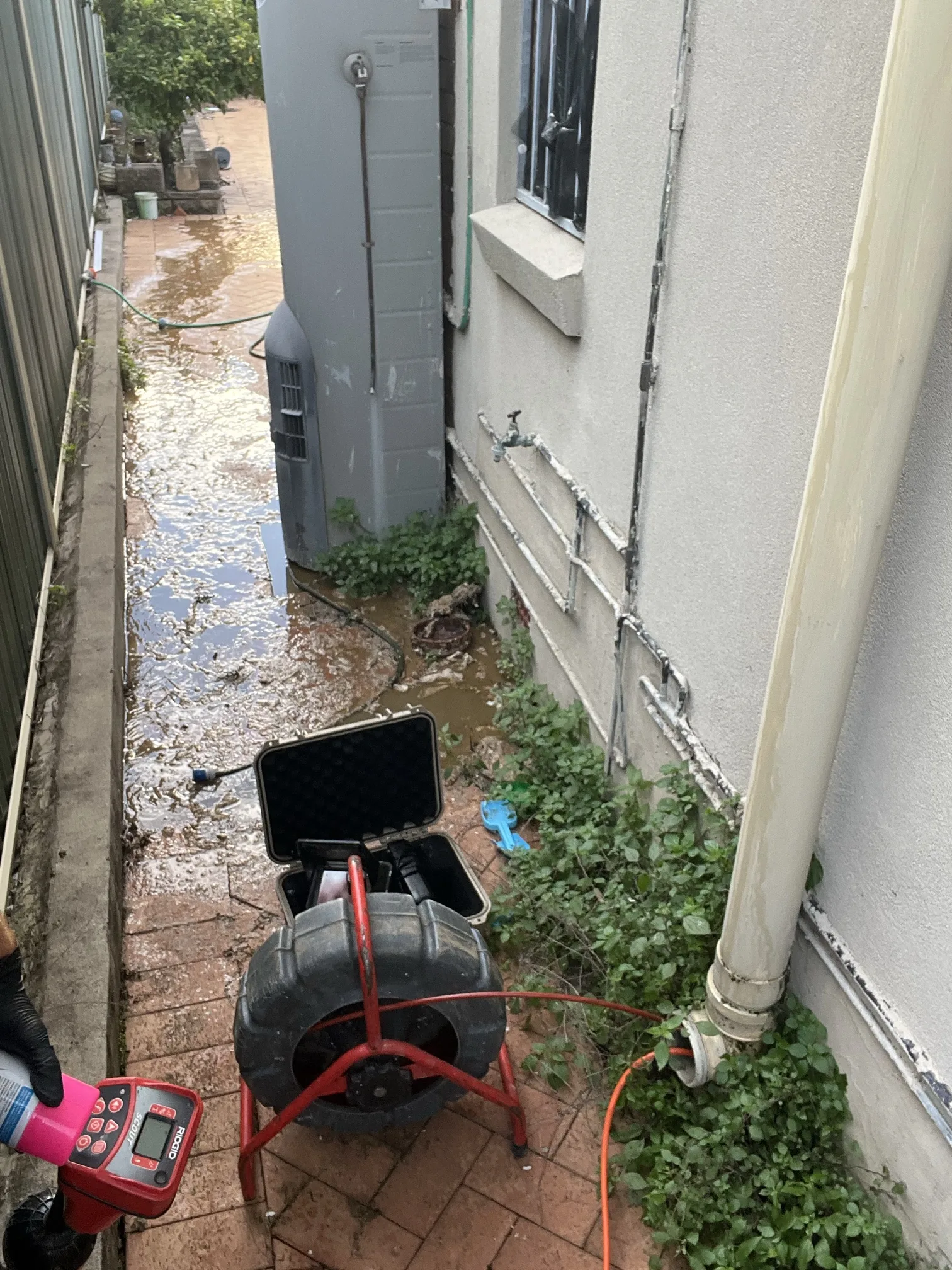 Blocked drain cleared in Earlwood 2206, June 2026