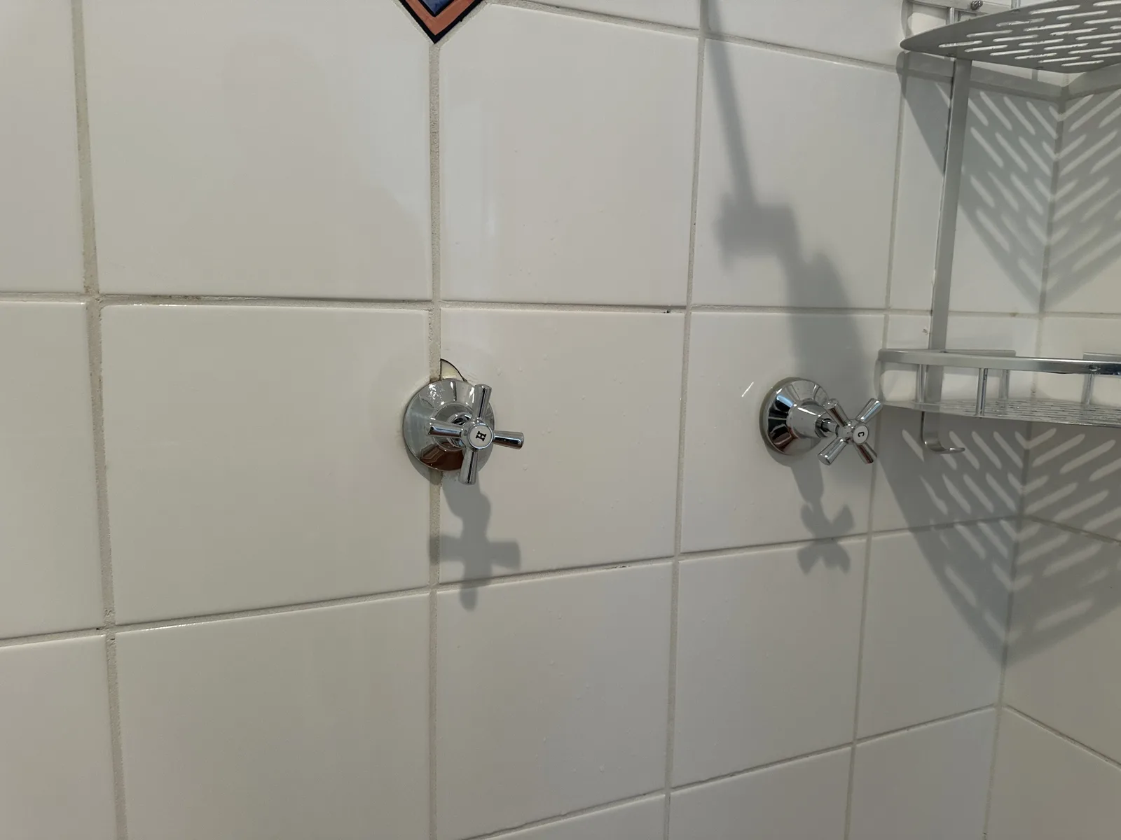 Tap or toilet repaired in Lane Cove North 2066, July 2026