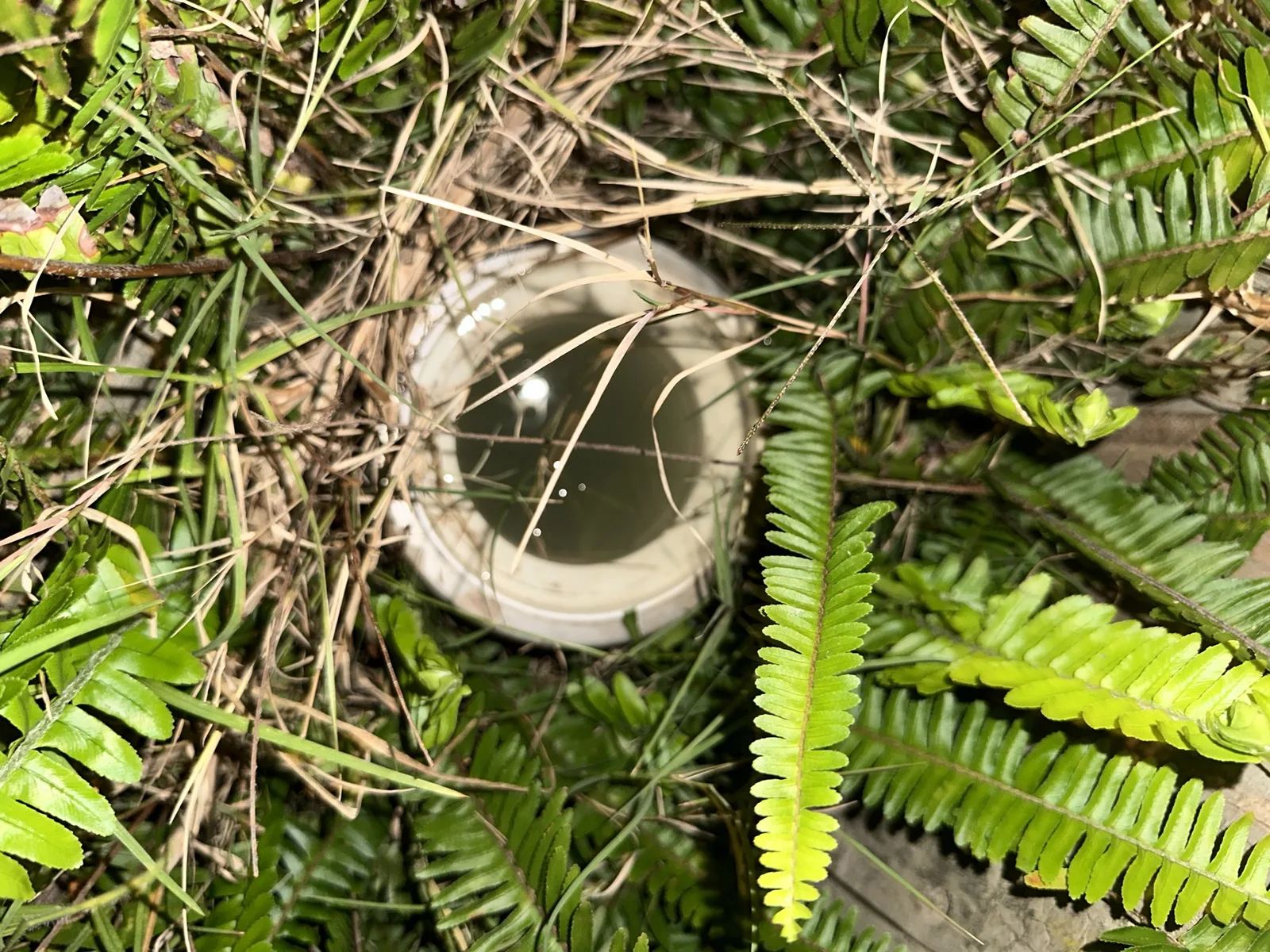Burst pipe or leak repaired in Glen Alpine 2560, July 2026