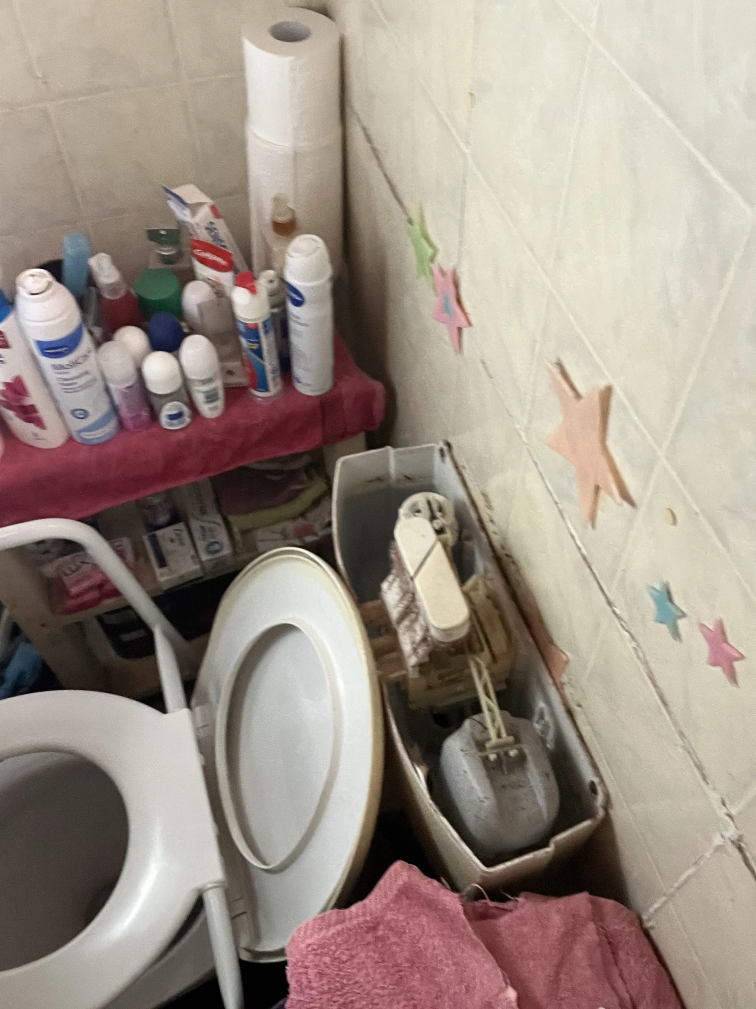 Burst pipe or leak repaired in Asquith 2077, July 2026