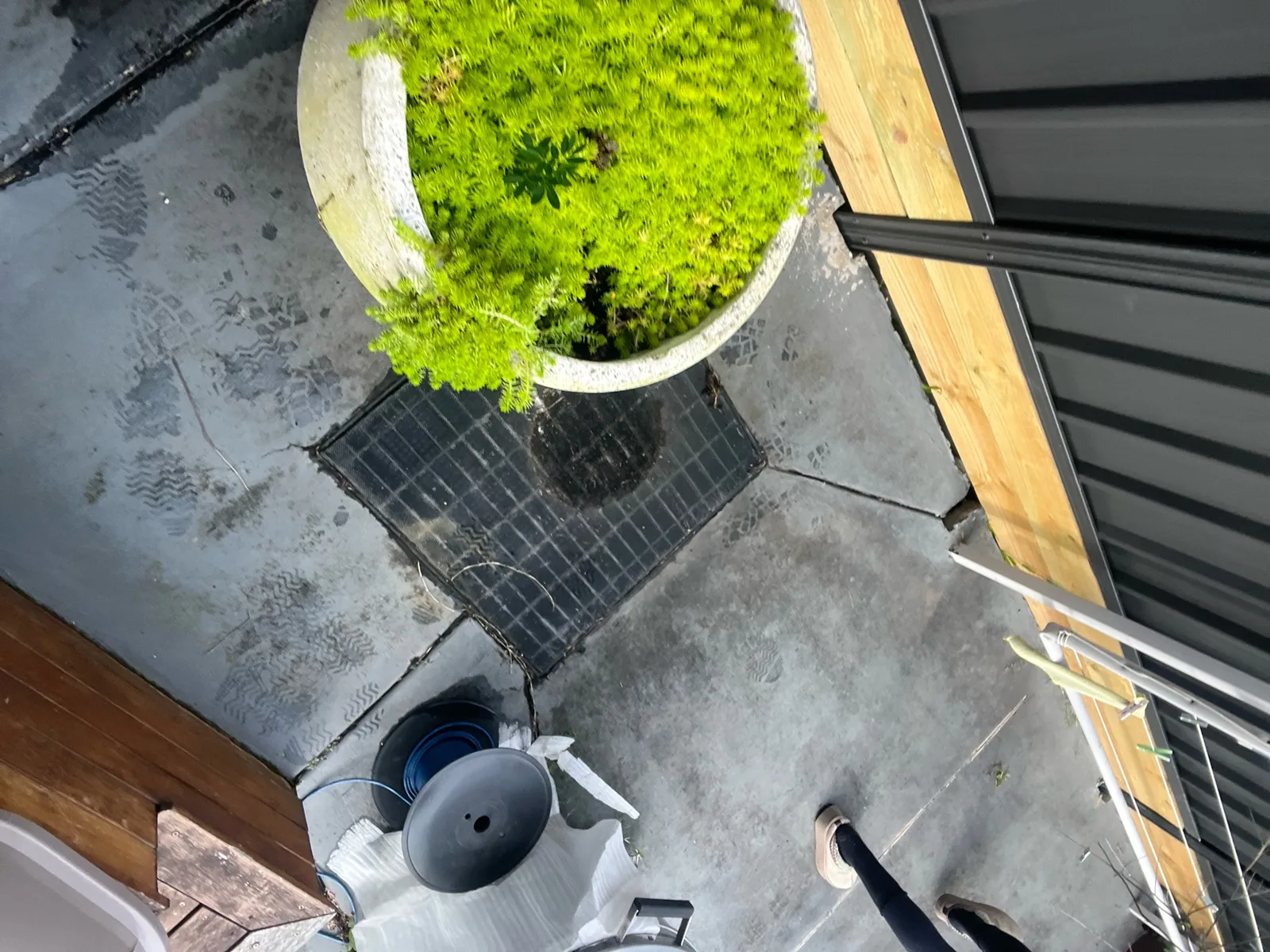 Blocked drain cleared in Beverly Hills 2209, August 2026