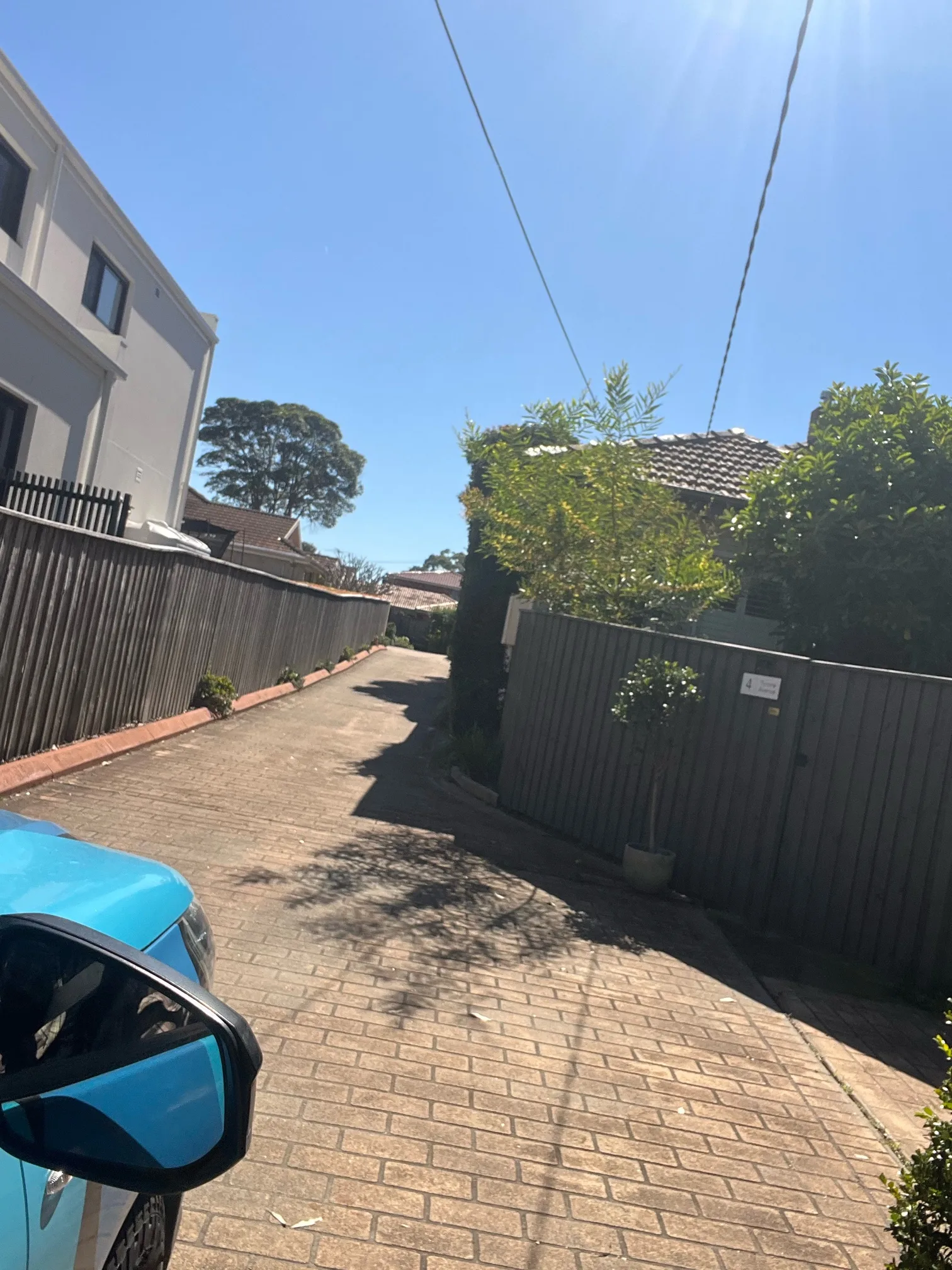 Tree roots removed in Forestville 2087, August 2026