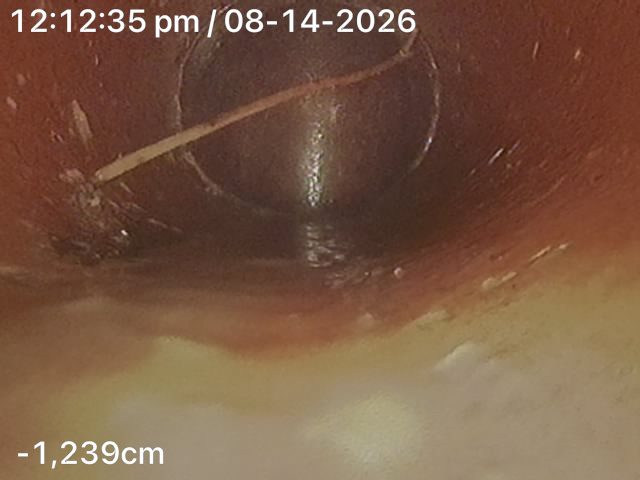CCTV drain camera still from inside the line on a Mr Splash job in North Bondi