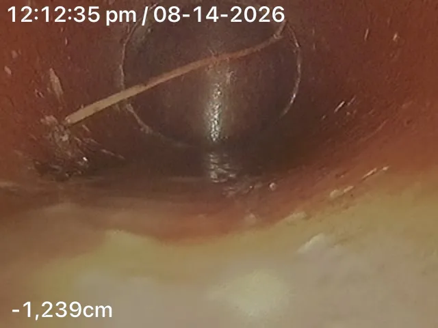 CCTV still of tree roots inside a drain on a Mr Splash job in North Bondi