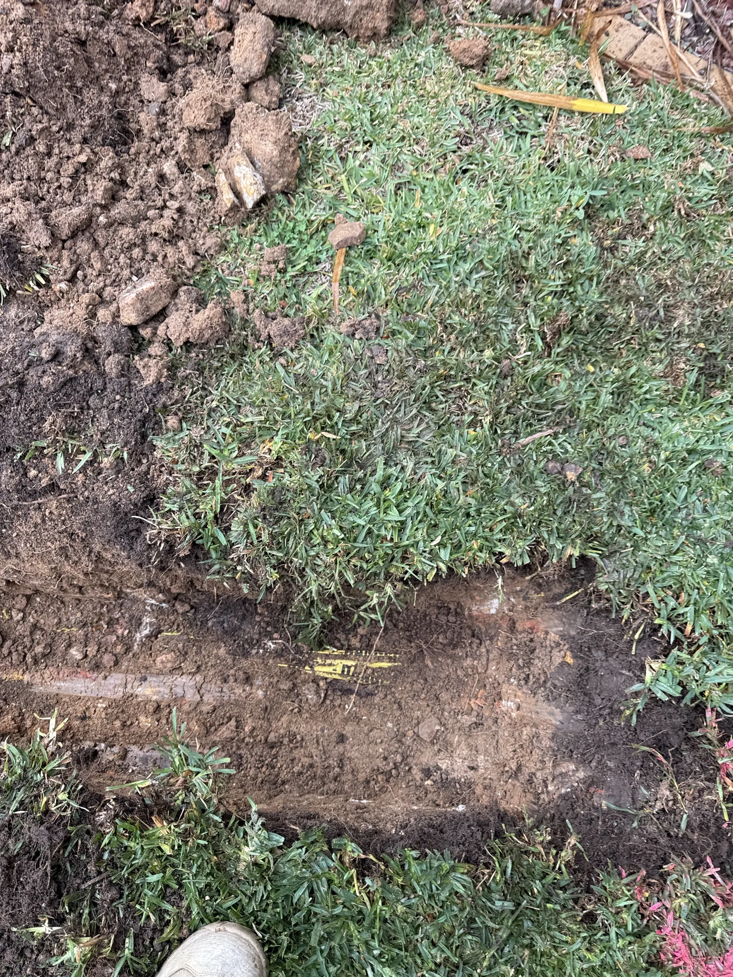 Cleared sewer line after tree root removal on a Mr Splash job in Northmead