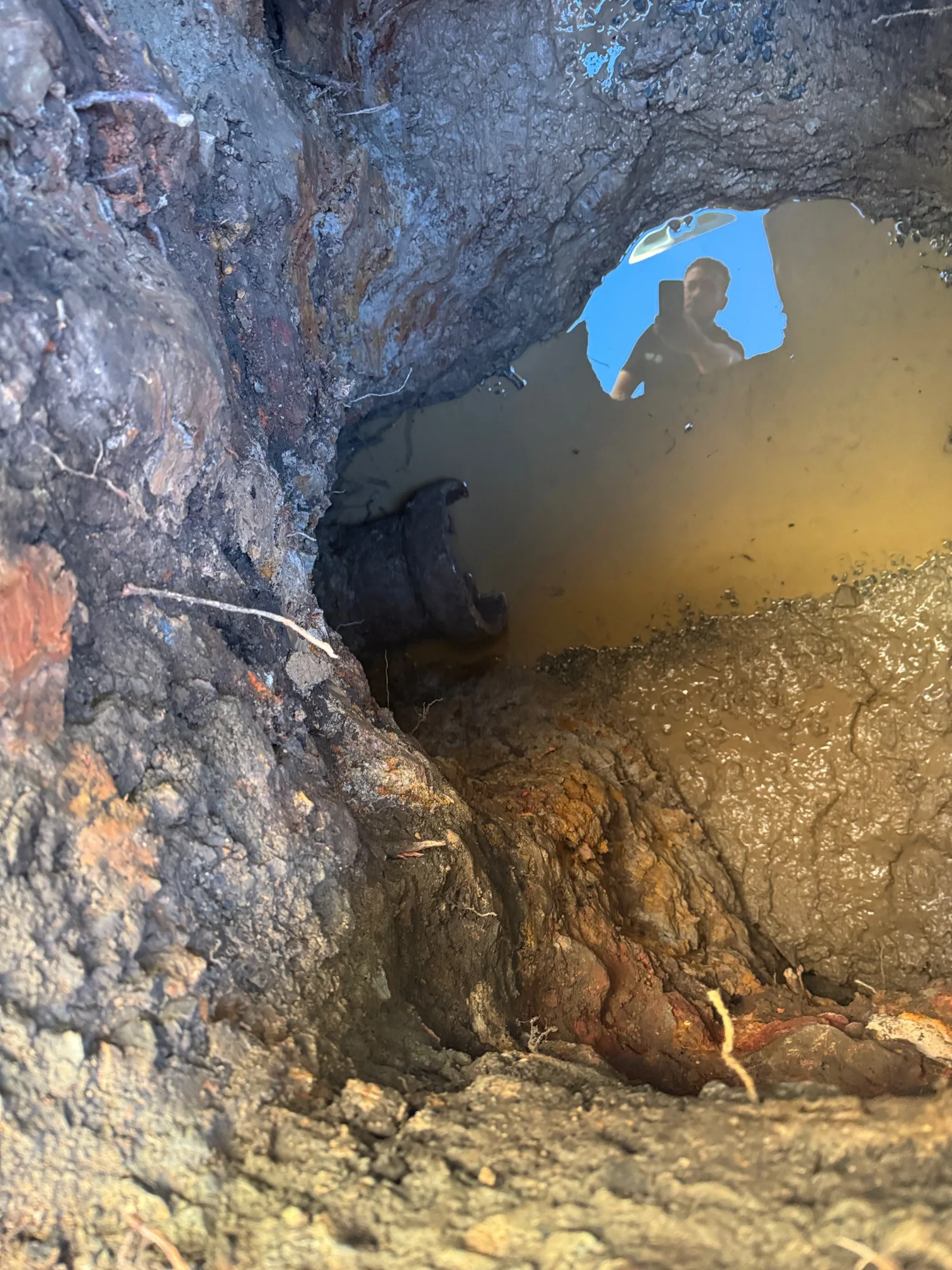 Drain camera inspection in Newtown 2042, September 2026
