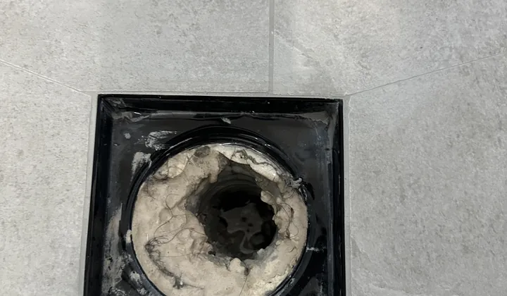 Bathroom floor waste with the grate off, choked with hair and sludge in Baulkham Hills