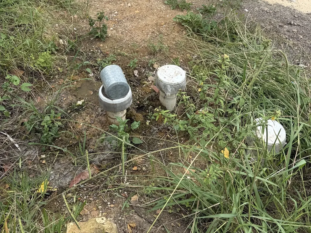 Two sewer inspection risers in the overgrown side garden in Lidcombe