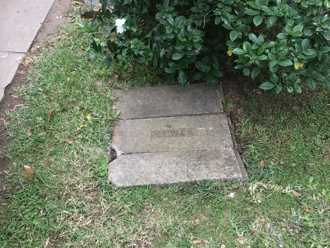 Concrete sewer cover marked SEWER on the front lawn in Ermington