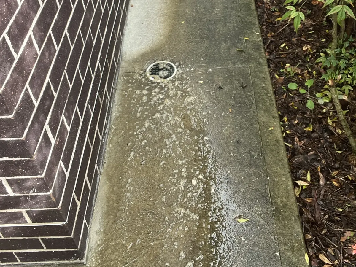 Sewer inspection opening on the wet concrete path beside a brick wall in Hunters Hill