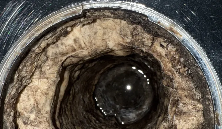 Hair and soap scum caked inside a shower waste pipe in Belmore
