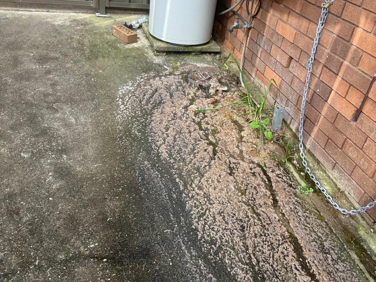 Overflow from a blocked drain spread along a side path in Wakeley