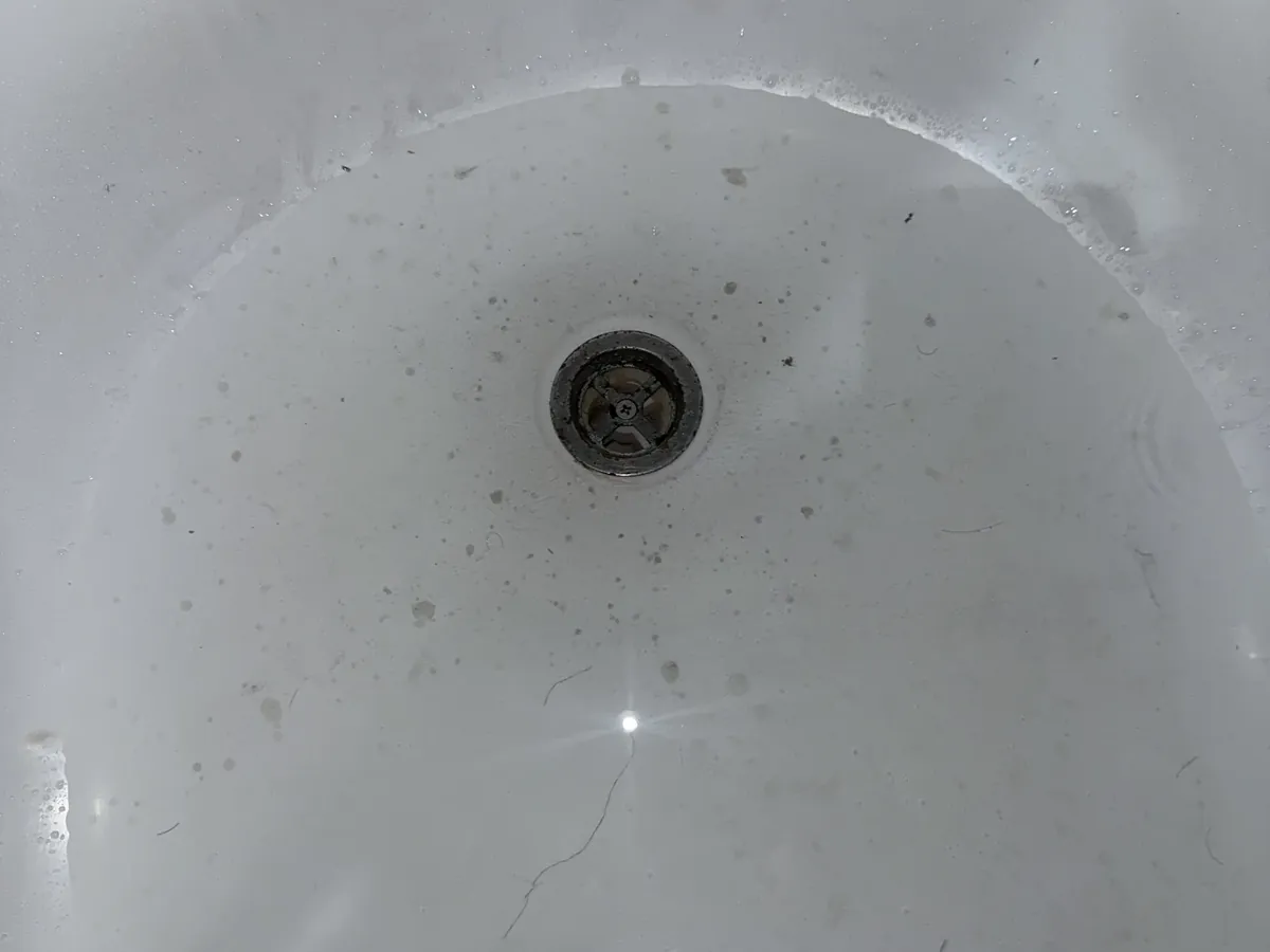 Water sitting around a bath plughole in Newtown