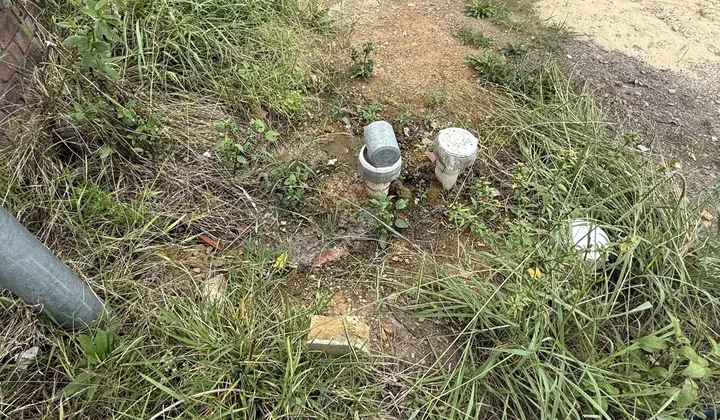 Two sewer inspection risers in the overgrown side garden of a house in Lidcombe