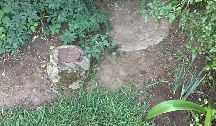 Cast iron sewer inspection cap and boundary trap cover in a garden bed in Casula