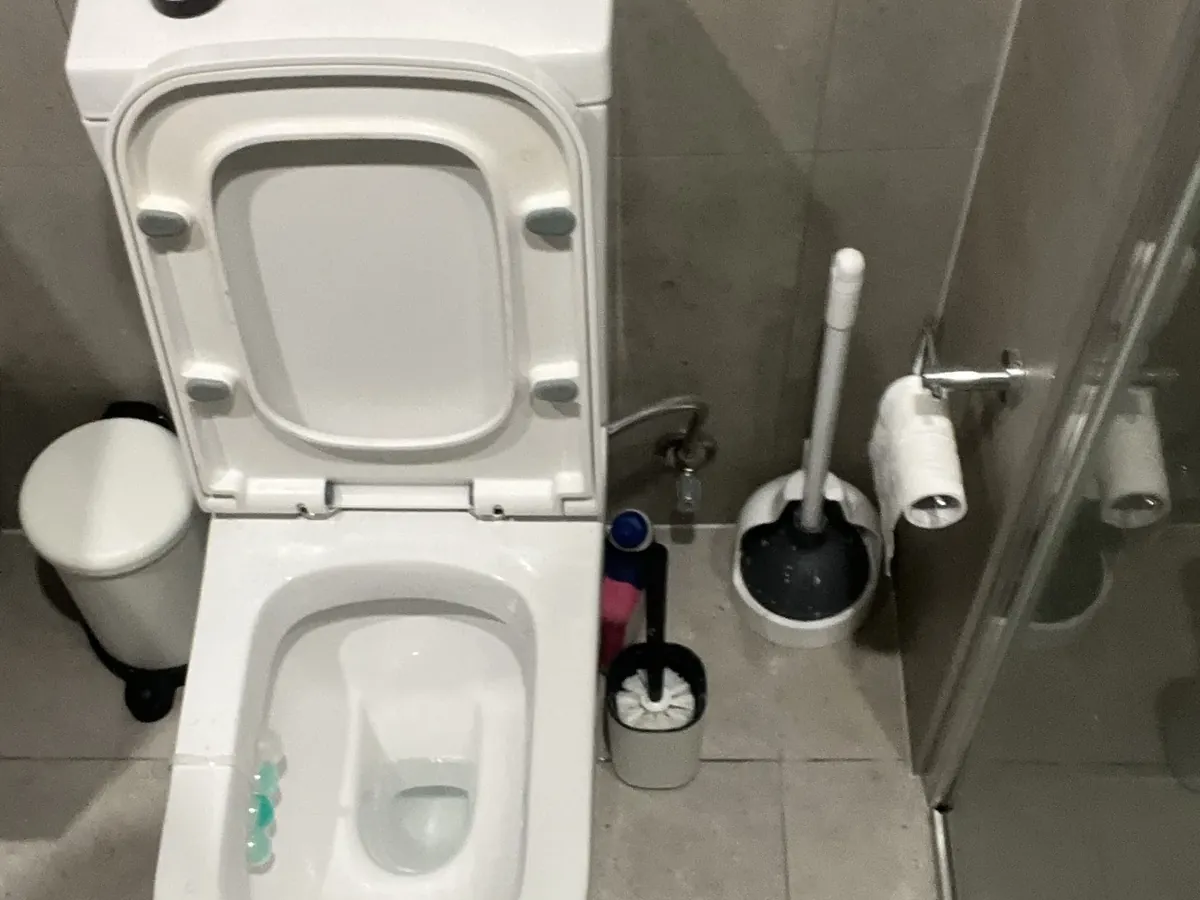 Toilet with the lid up and a plunger beside it in a tiled bathroom in Schofields