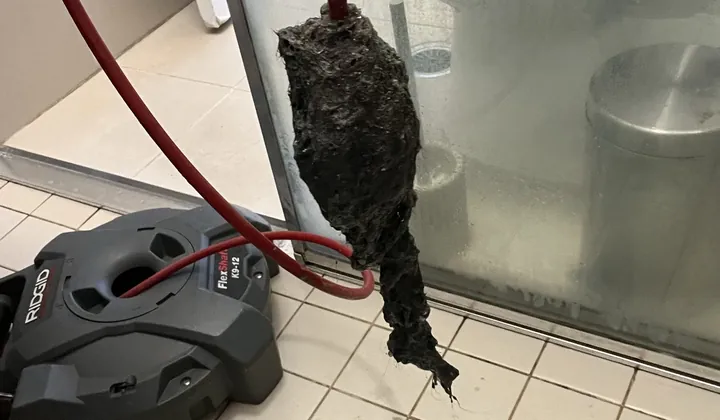 Drain machine cable holding a mat of hair and sludge pulled from a shower waste in Roselands