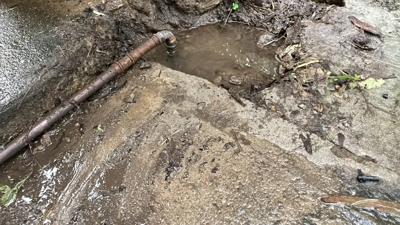 Copper water line exposed in a water-filled hole dug beside a side path in Chester Hill