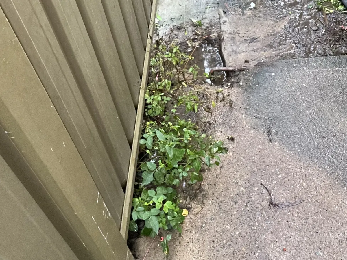 Water pooling around a leaking pipe at the edge of a side path beside a fence in Chester Hill