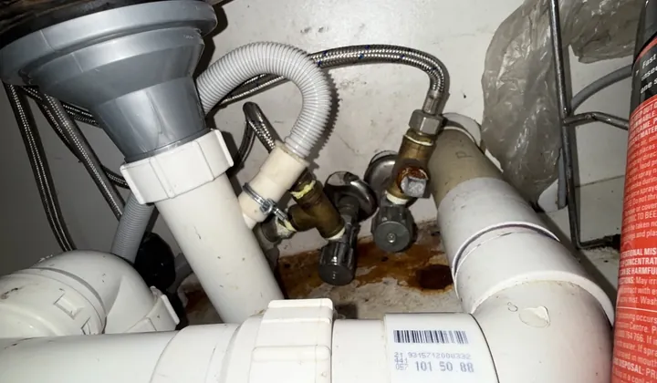 Rust stains on the cupboard floor below isolation taps and braided hoses under a kitchen sink in Edgecliff