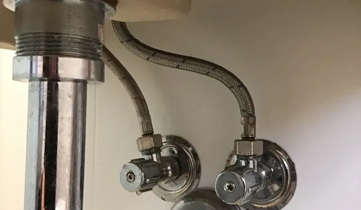 Braided hoses running from two isolation taps up to a basin mixer in Potts Point