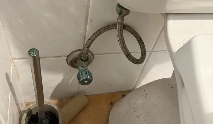 Corroded stop tap and braided hose feeding a toilet cistern in Erskineville