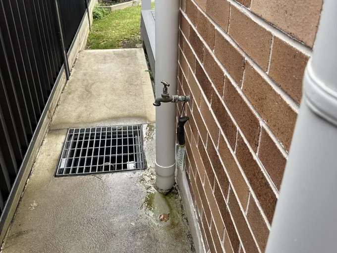 Garden tap and downpipe on the wet side path of a house in Kingsgrove