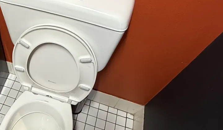 Toilet and cistern against an orange wall in a business washroom in Artarmon