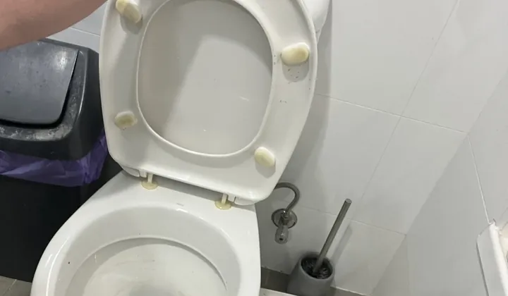 Toilet with the seat lifted in a unit bathroom in Parramatta