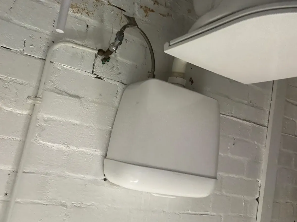 Exposed toilet cistern and its water connection on a painted brick wall at a business in Alexandria