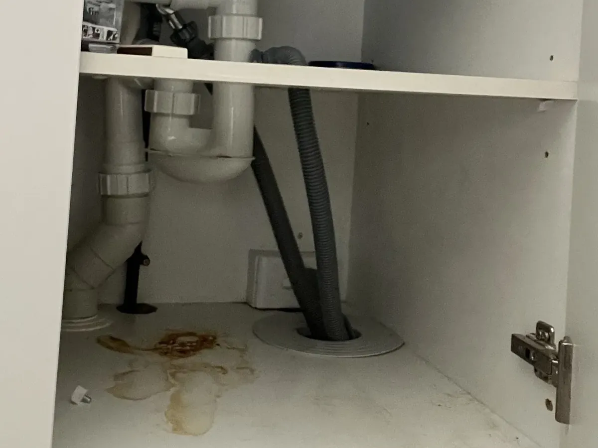 Water stains on the cupboard floor under a kitchen sink beside the dishwasher hose in Bexley