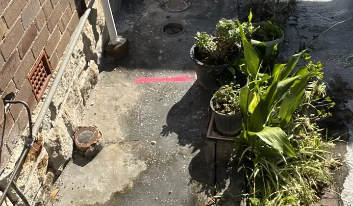 Pink paint marks beside drain covers on a concrete side path in Rockdale