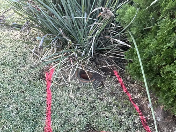 Clay drain opening marked out with pink paint on a lawn in Panania