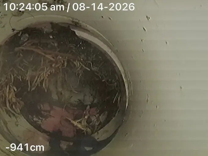 Drain camera footage of roots and debris packed into a pipe junction in Kareela