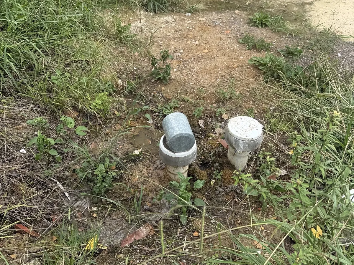 Two drain inspection risers in muddy, weedy ground in Lidcombe
