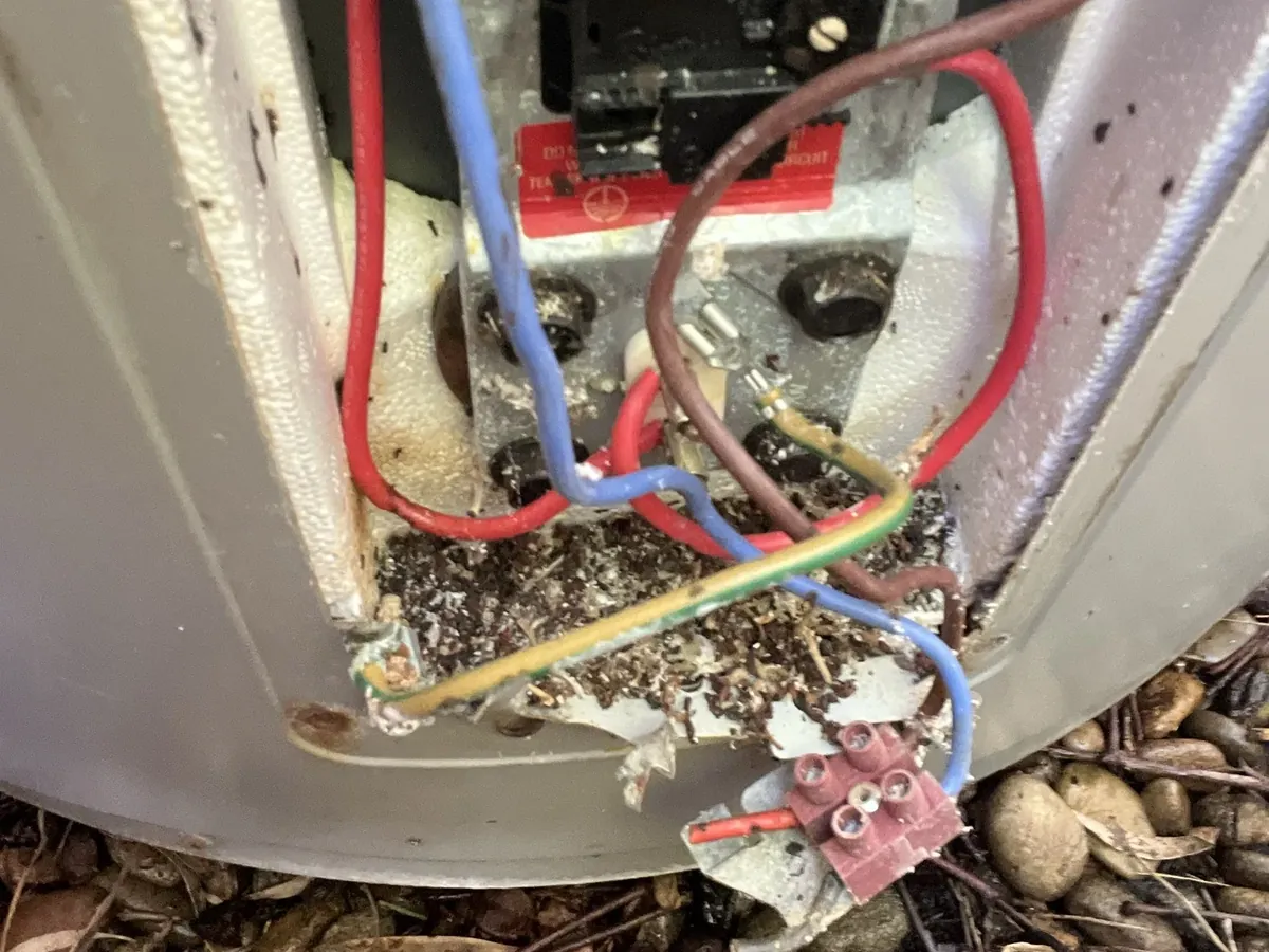 Thermostat and wiring exposed behind the access cover of an electric hot water tank