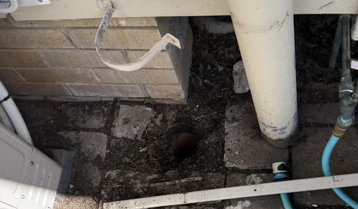 Drain inlet in the pavers beside a downpipe and a garden tap on the side of a house in Liverpool